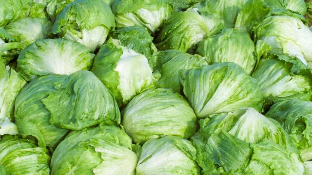 CDC confirms nearly 2,000 cases in lettuce-linked cyclosporiasis outbreak