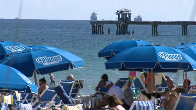 Mysterious tar balls wash ashore in South Florida with no source identified