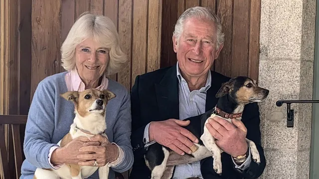 King Charles announces plans for a new dog after Queen Camilla's loss