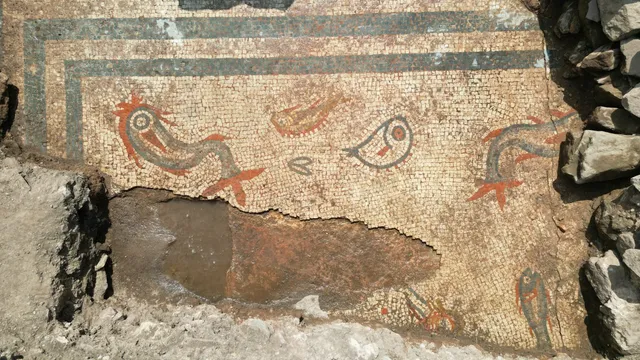 Ancient Fish Mosaic Discovered in Roman City