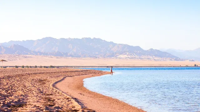 Scientists uncover deadly brine pools in the Red Sea