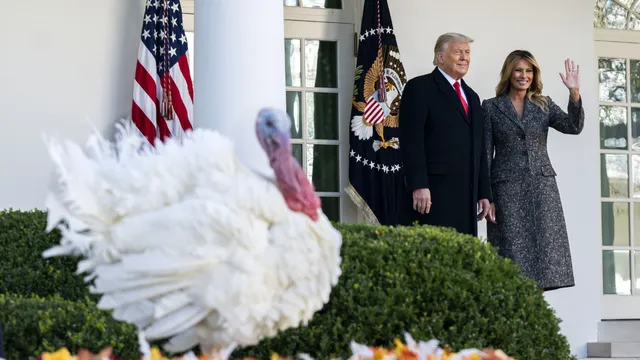 Donald Trump pardons Gobble and Waddle ahead of Thanksgiving