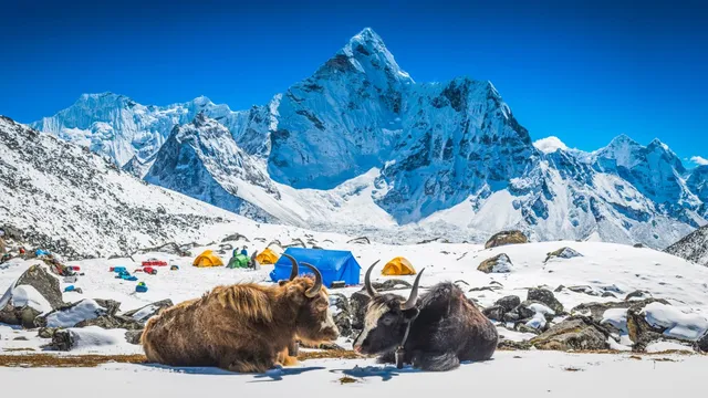 Hiking in the Himalayas offers life-changing adventures for trekkers