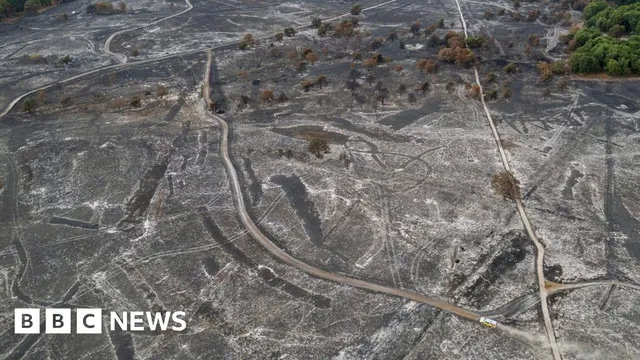 Unexploded bombs found after devastating wildfire at Dunwich Heath