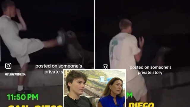 Teen wrongly accused of sea lion abuse faces online harassment