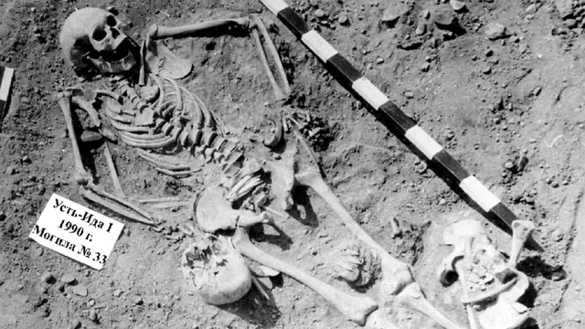 Oldest evidence of plague outbreak discovered in Siberia