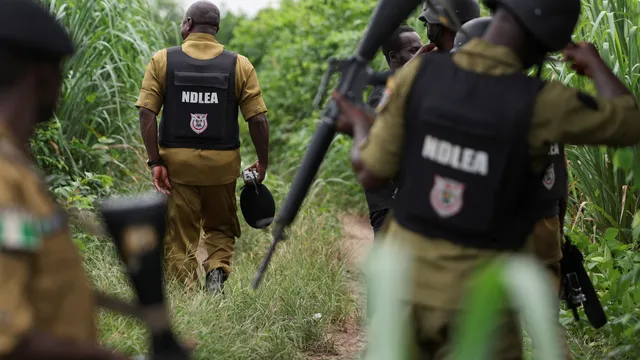 Armed gangs kill over 20 in Nigeria attacks