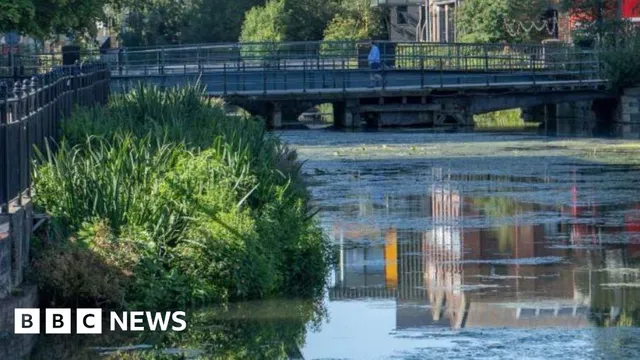 Plans for Floating Garden on River Ouse to Enhance Wildlife and Water Quality