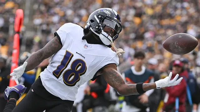 Diontae Johnson refuses to play due to weather conditions