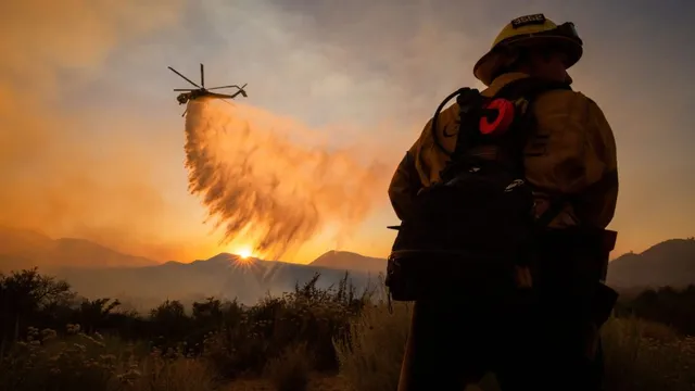 Wildfires surge in North America and Europe as climate change intensifies
