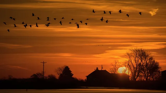Wealthiest cities in Nebraska reveal top earnings at Beaver Lake