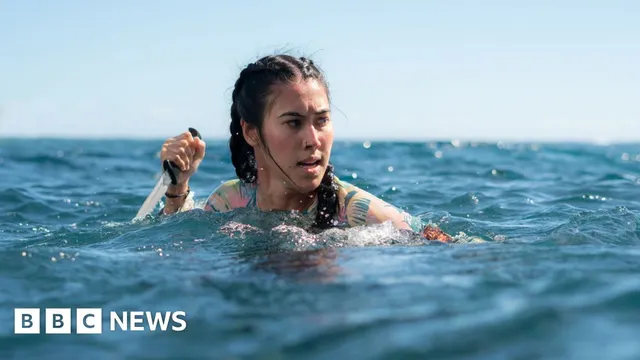 Shark Films: A Double-Edged Sword in Fear and Conservation