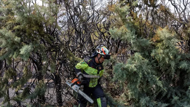 Spanish firefighters face unprecedented wildfire challenges