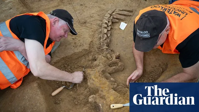 Waterloo 1815: Excavation Reveals Severed Limbs and Horse Skeletons