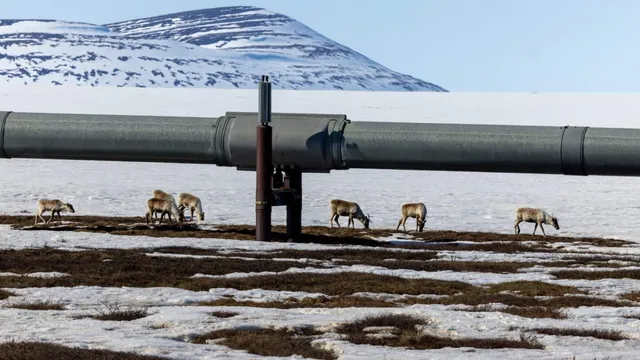 Alaska's oil revival sparks new opportunities and concerns