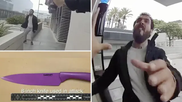 Crazed knifeman attacks officer before being shot dead in Santa Monica
