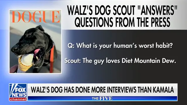 Tim Walz's Dog Gets More Interviews Than Kamala Harris