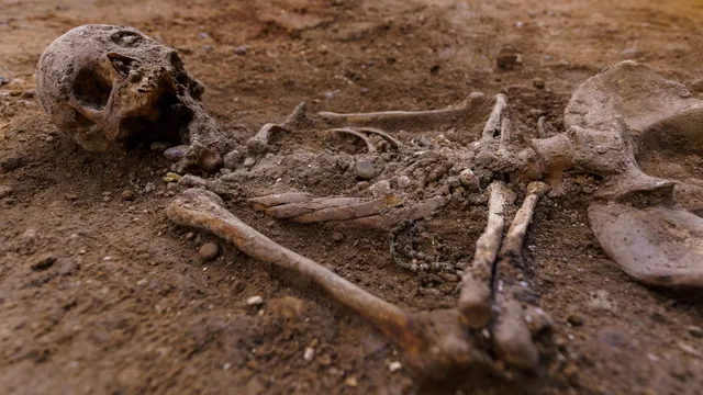 French man uncovers medieval skeletons in Paris cellar renovation