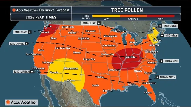 Seasonal allergy season expands as climate factors intensify