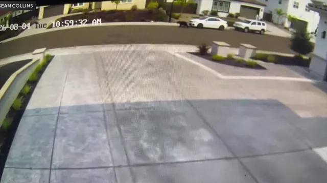 Bear sighting raises concerns in Lincoln's Sun City community