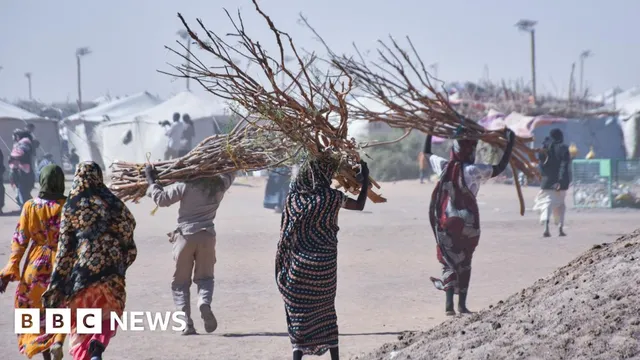 Sexual violence plagues daily life in Sudan amid ongoing conflict