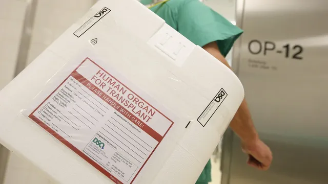 Chinese scientists create breakthrough system to extend organ preservation time