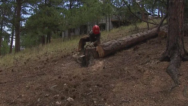 Mile High Youth Corps trains future firefighters in Colorado
