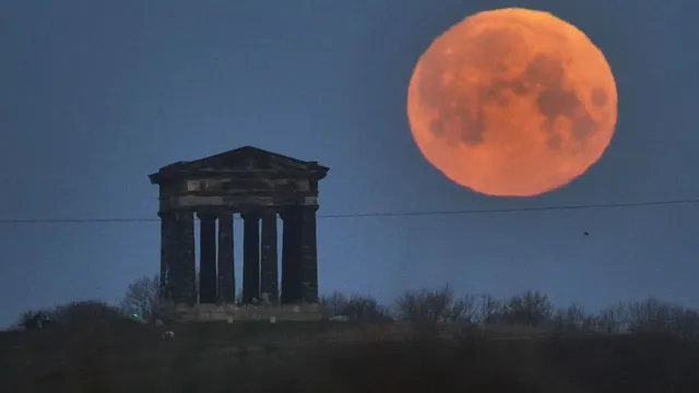 Scientists make breakthrough growing chickpeas on the Moon