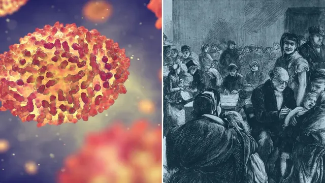 Mummy DNA reveals smallpox introduction by European colonists