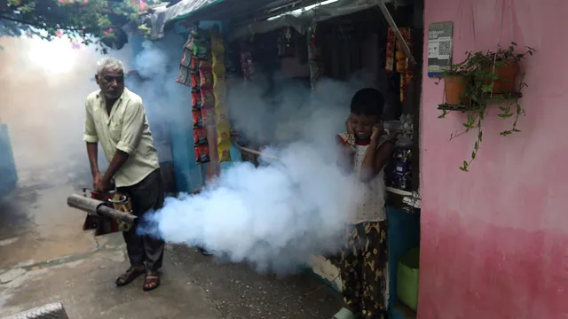 Dengue cases surge in India as climate change alters disease patterns
