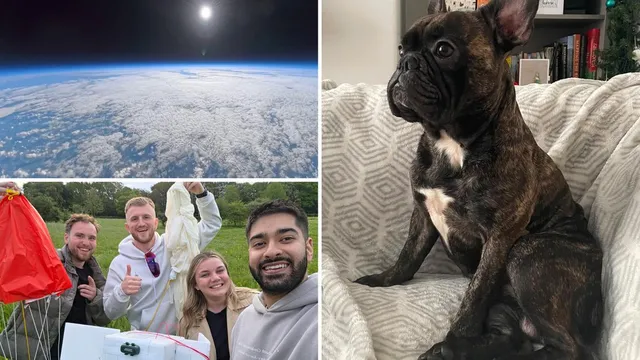 Grieving owner sends dog’s ashes to space in heartfelt tribute