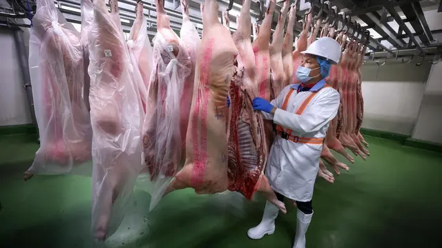 Singapore to revive live pig imports from Indonesia after pause