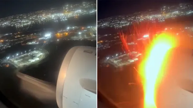 American Airlines flight forced to land in NYC after bird strike