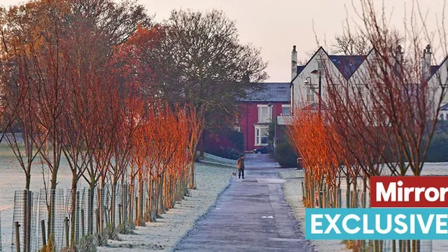 Chilly Weather Hits UK as Arctic Air Brings Freezing Temperatures
