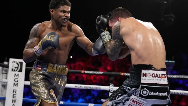 Madison Square Garden bans fighting after violent brawls at events