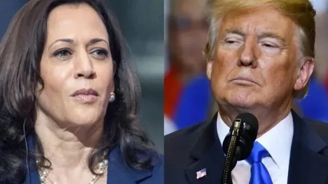 Cincinnati Bakery's Cookie Poll Predicts Trump vs. Harris 2024 Election