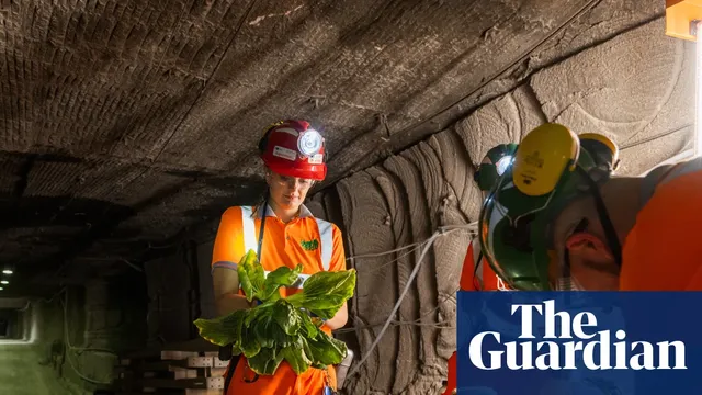 Underground farming trials aim to solve UK food crisis
