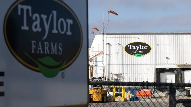 Taylor Farms recalls jalapeño products linked to salmonella outbreak