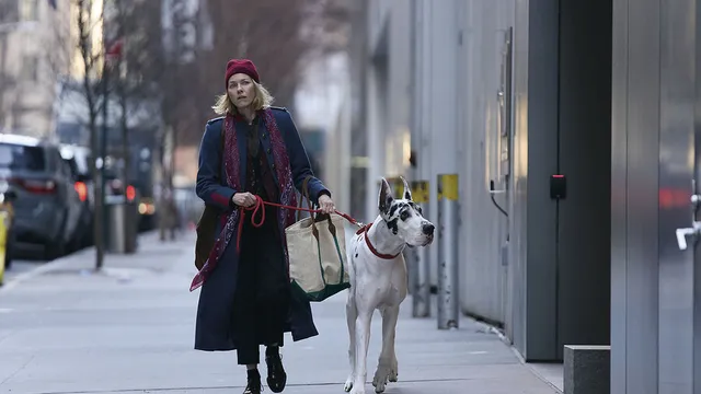 Naomi Watts inherits Bill Murray's Great Dane after his tragic death