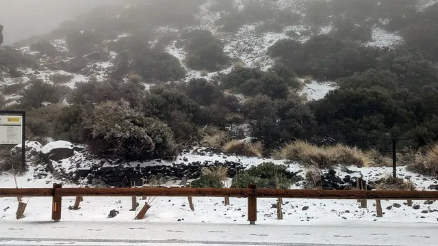 Tenerife declares state of emergency after Storm Therese brings chaos