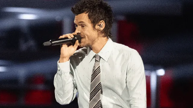 Harry Styles supports pro-Palestinian chant at concert