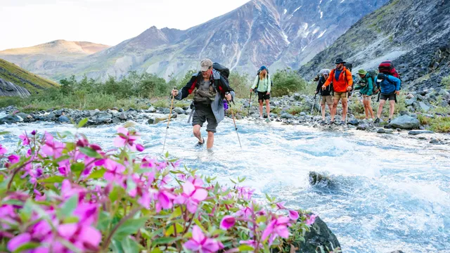 Dozens sickened by rapid norovirus outbreak on Pacific Crest Trail