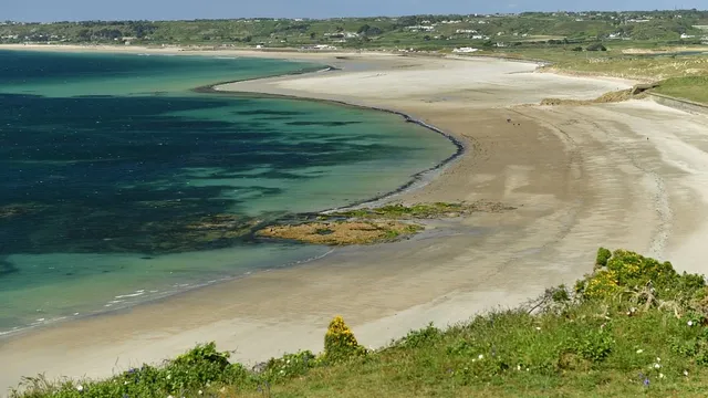 Shark sighting prompts historic beach closure in Jersey