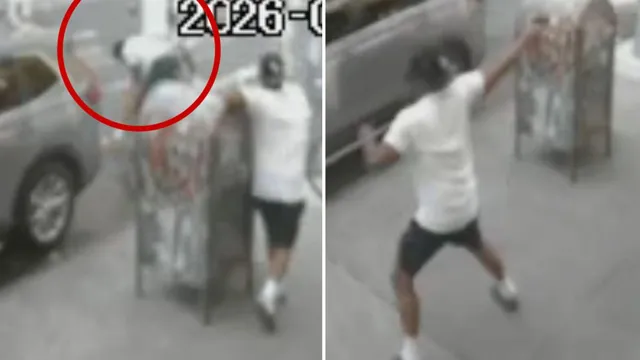 12-year-old cop's son killed in Bronx brawl