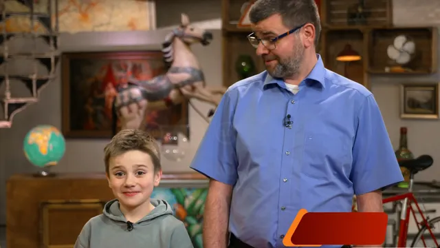 German boy Simon sells porcelain birds for 180 euros on ZDF show 'Bares für Rares'