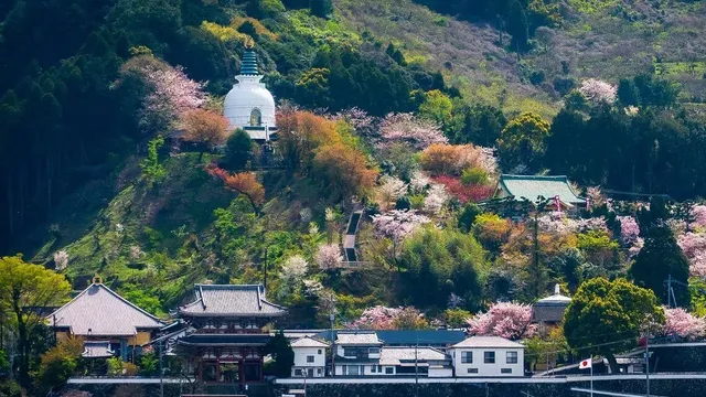 Japan's granny business helps seniors regain vitality through work