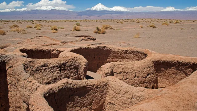 Chilean mummies reveal smallpox strain from colonial times