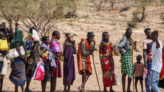 Kenya faces hunger crisis as drought devastates livestock and crops