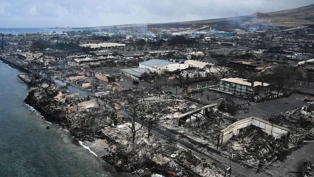 Hawaii Supreme Court blocks insurance companies from legal action on Maui wildfire