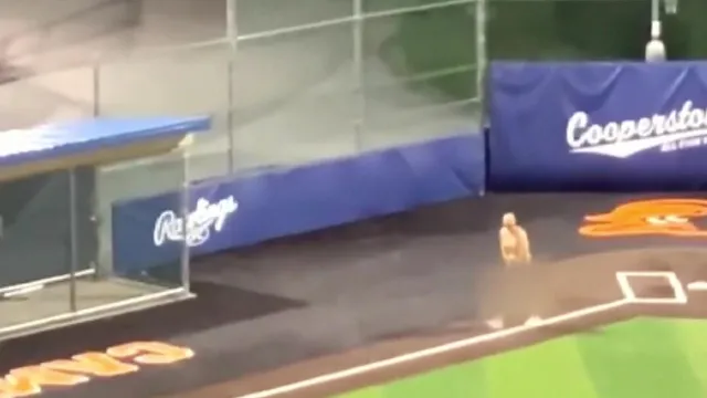 Illinois youth baseball coaches fired for streaking in front of kids